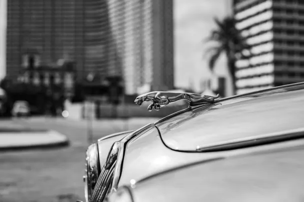 Καζίνο Λουνυ Μπινγο Εφαρμογή Android/iOS